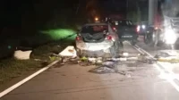 Gajah Amuk Hancurkan Mobil Malaysia: Klakson Picu Kemarahan?