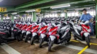 MPMX Raih Kenaikan Cuan 3% Kuartal I 2025: Strategi Jitu?