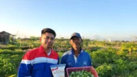 Pertamina dan Desa Uma Palak: Solusi Cerdas Atasi Krisis Pertanian