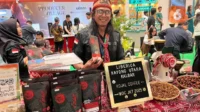 Petani Kopi Liberica Kalimantan Barat: Tantangan Sawit & Harapan Baru