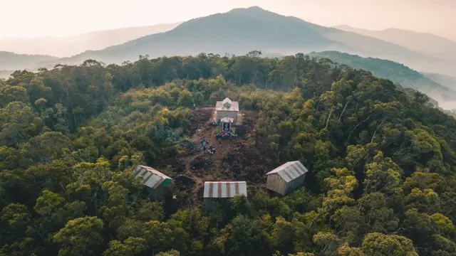Petualangan Gunung Aural: Puncak Kamboja & Hutan Bambu Menakjubkan