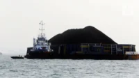 Rahasia Kedaulatan Energi Indonesia: Manfaatkan Batu Bara Sekarang!
