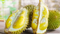 10 Manfaat Ajaib Durian: Rasa Lezat, Kesehatan Terjamin
