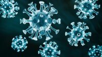 12 Virus Mematikan Sepanjang Sejarah: COVID-19 & Lainnya