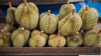 9 Varian Durian Indonesia: Rasa Surgawi yang Wajib Dicoba
