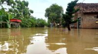 Bencana Banjir Jombang: Belasan Desa Terendam, Kisah Pilu Warga