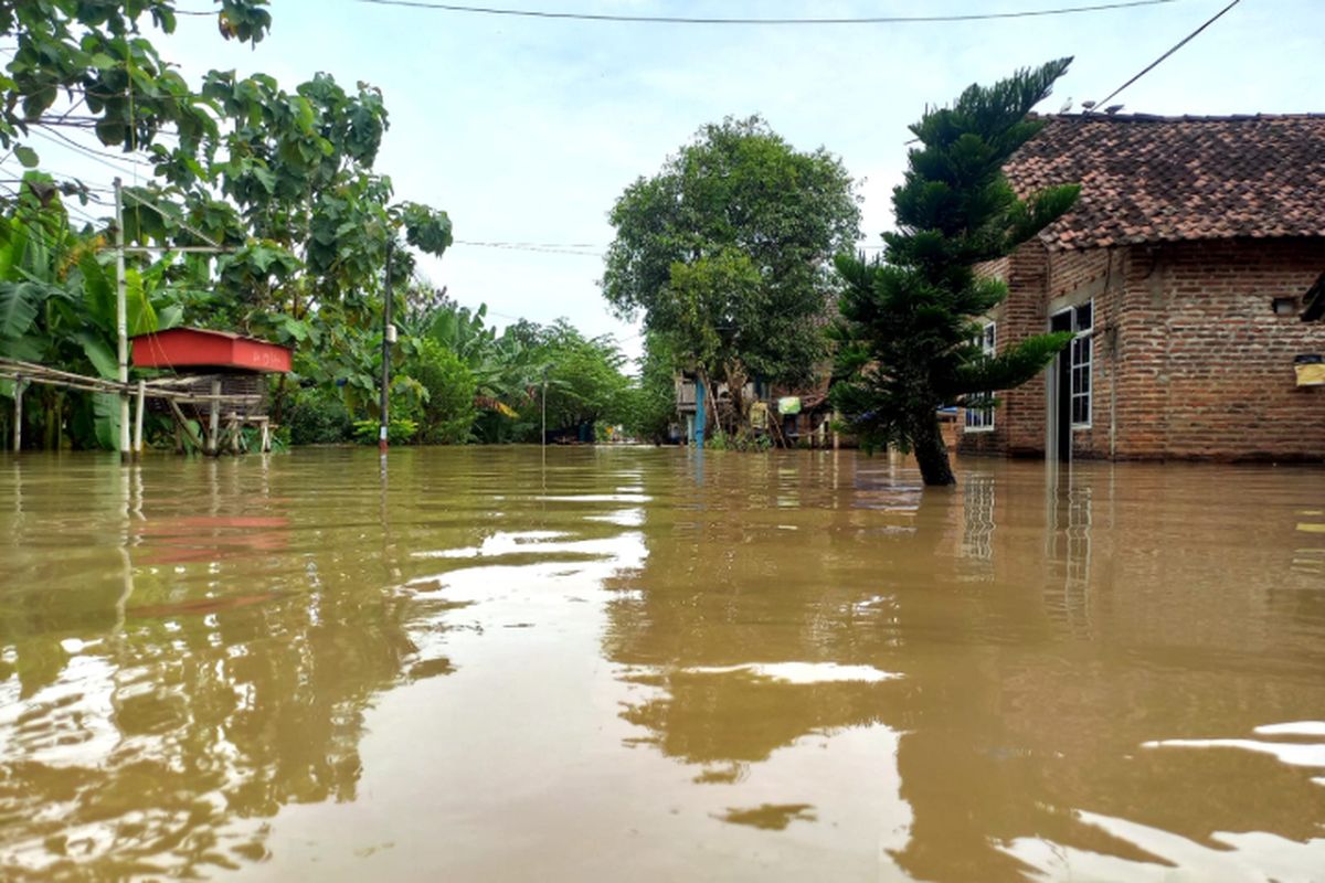 Bencana Banjir Jombang: Belasan Desa Terendam, Kisah Pilu Warga