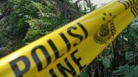 Kades Kalteng Bacok Warga Saat Dangdutan: Tiga Luka Parang