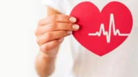 Rahasia Kinesin: Motor Protein Ajaib Pengantar Nutrisi Penopang Hidup