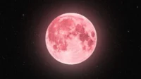 Saksi Strawberry Moon 2025: Purnama Terindah, Jadwal & Lokasi Terbaik