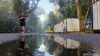 UI: Spot Lari Ternyaman di Jakarta, Rimbun & Adem