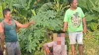 Warga Situbondo Amuk Maling Motor, Luka Parah Dianiaya